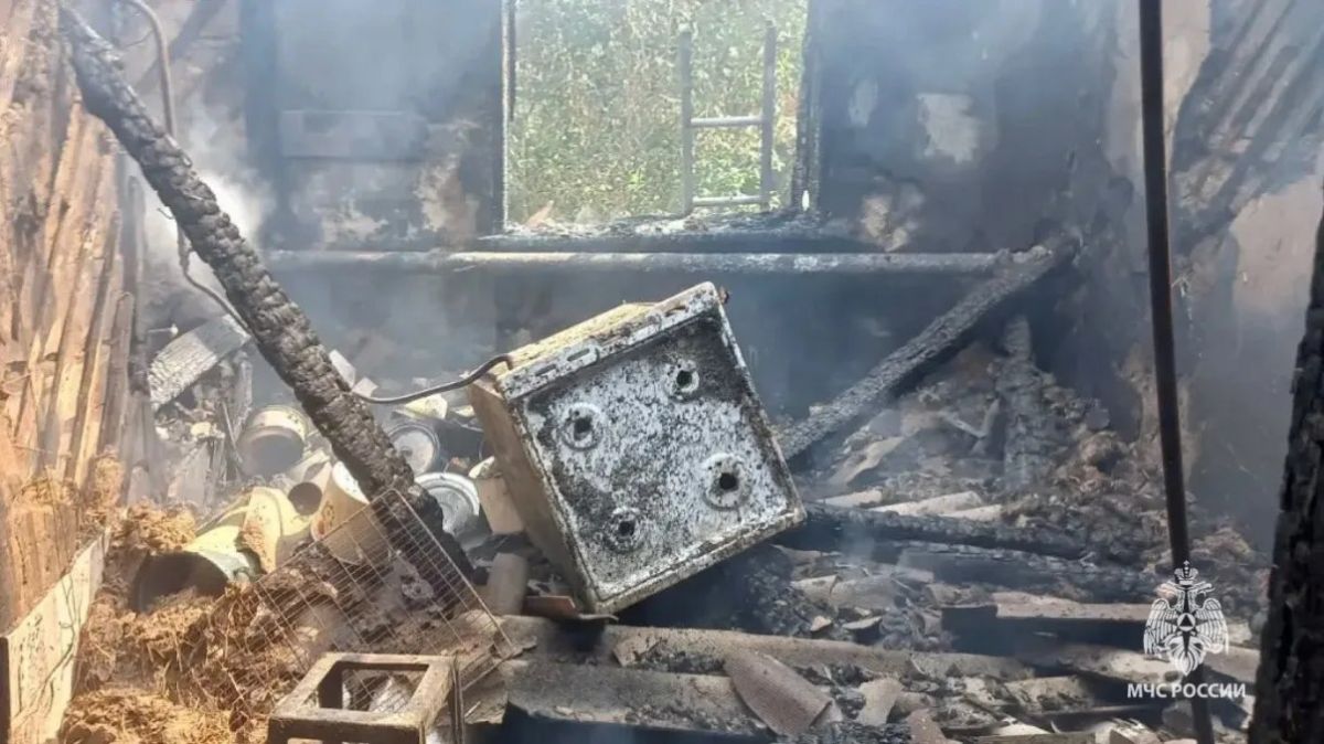 92-летняя женщина погибла при пожаре в частном доме по улице Блинова в станице Кумылженской Волгоградской области, сообщили в ГУ МЧС России по региону