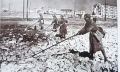 ДЕНЬ В ИСТОРИИ. В 1945 году организации Осоавиахима завершили работы по разминированию освобождённых от немецкой оккупации и прифронтовых районов Сталинграда и Сталинградской области