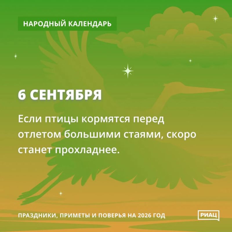 Сегодня обращаем внимание на перелётных птиц Сегодня обращаем внимание на перелётных птиц