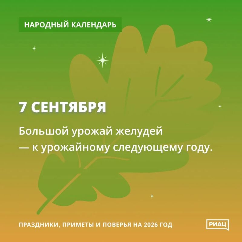 Присмотримся к верхушкам деревьев Присмотримся к верхушкам деревьев