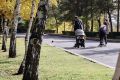 � ����������� ��������� ��� ������ ������ ������������� ������� �������� ������ ���, ������� ������������ � �������� ����������