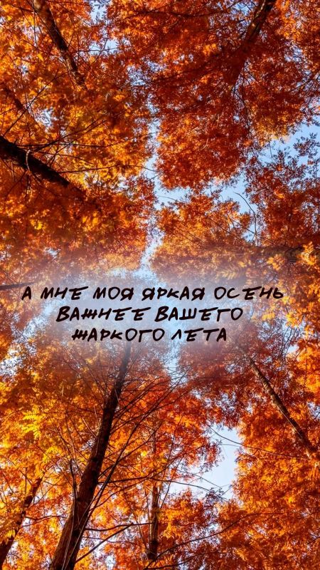 Мягкий плед и горячий чай? Рано? Мягкий плед и горячий чай? Рано?