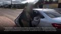 � ������������� ������� ��������� �������������� � ������� 13 ��� ������