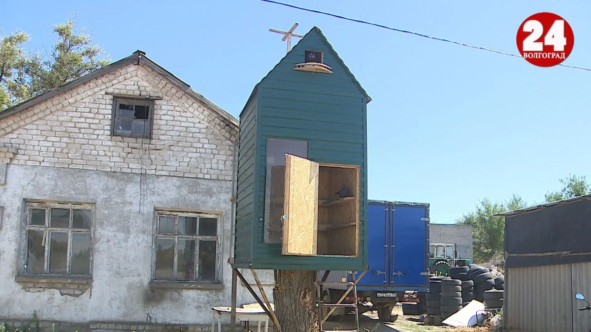 Голубятню обустроили на семейной шиномонтажке под Волгоградом Голубятню обустроили на семейной шиномонтажке под Волгоградом