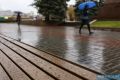 Волгоградцев предупредили о сентябрьской грозе и небольшом похолодании