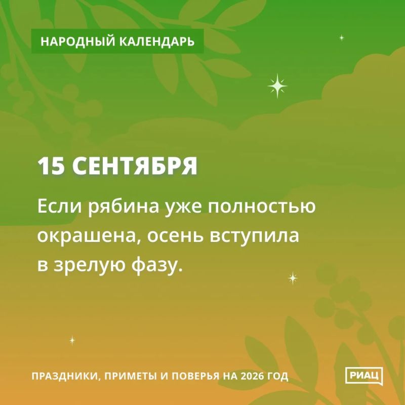 Ягоды рябины предсказывают осень Ягоды рябины предсказывают осень
