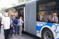 Волгоградцы рассказали, почему им нравится ездить на «гармошке»