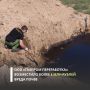 ООО «Газпром переработка» возместило в полном объеме вред, причиненный почве на территории Астраханского газоперерабатывающего завода