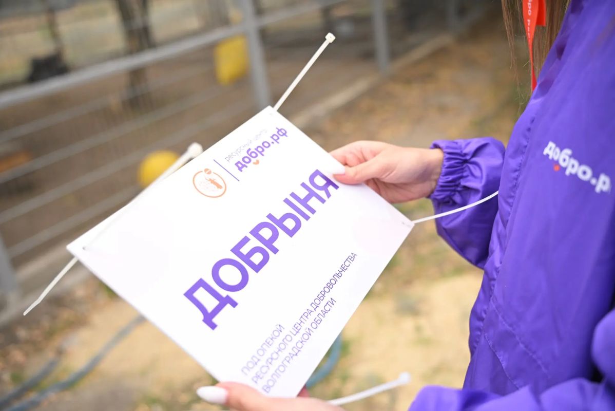 Медведь Добрыня теперь часть большой региональной волонтёрской команды Медведь Добрыня теперь часть большой региональной волонтёрской команды