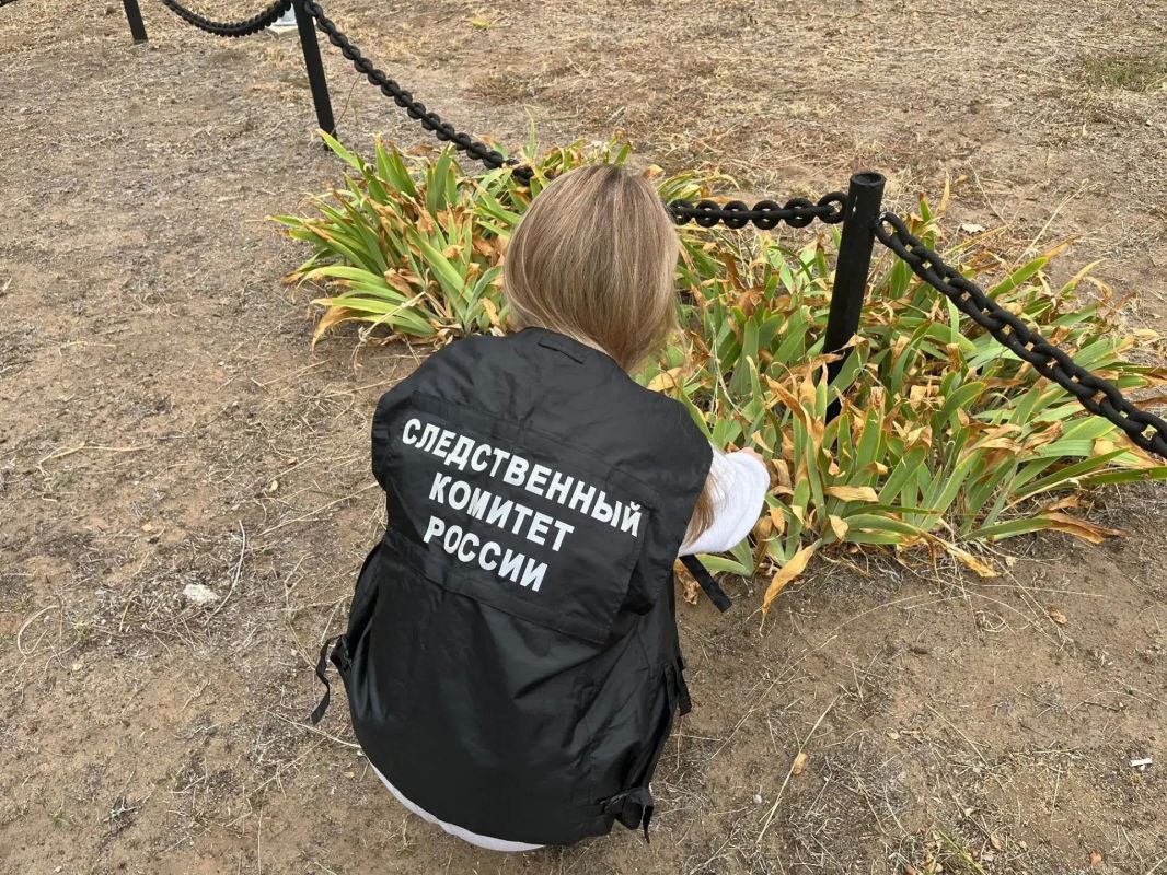 Сотрудники СУ СК России по Волгоградской области приняли участие в благоустройстве территории воинского захоронения в городе Калач-на-Дону Сотрудники СУ СК России по Волгоградской области приняли участие в благоустройстве территории воинского захоронения в городе Калач-на-Дону