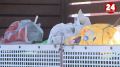 В Волгоградской области с 1 октября уменьшится ежемесячный платеж за вывоз мусора