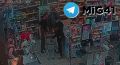 Многодетного отца на глазах его детей застрелили в продуктовом магазине Волгограда без какой-либо причины