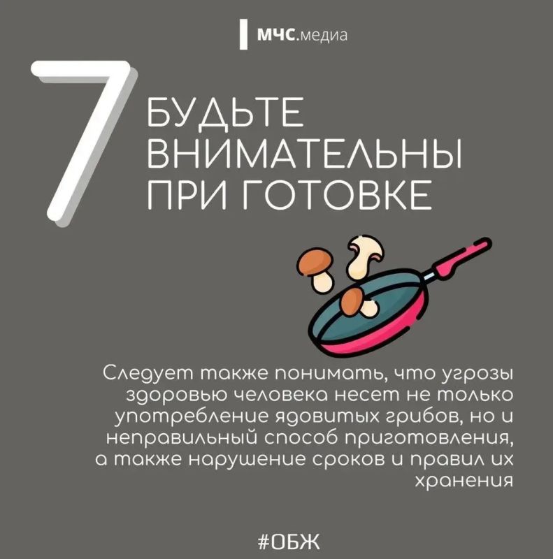 В Волгоградской области стоит тёплая осенняя погода, а значит, многие отправляются в лес на тихую охоту В Волгоградской области стоит тёплая осенняя погода, а значит, многие отправляются в лес на тихую охоту