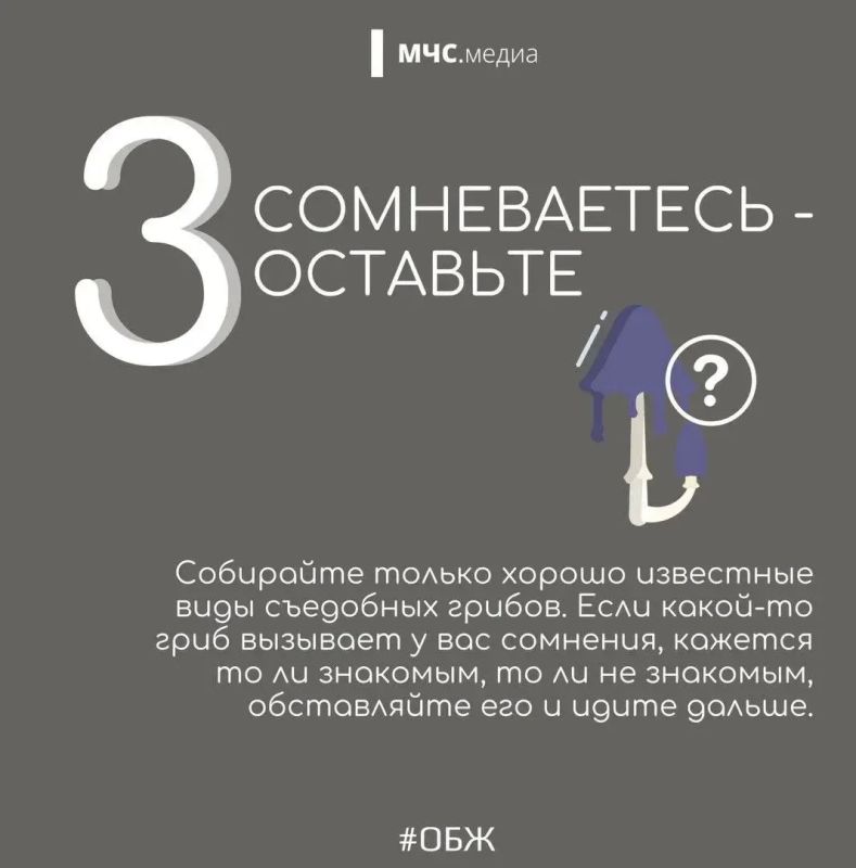 В Волгоградской области стоит тёплая осенняя погода, а значит, многие отправляются в лес на тихую охоту В Волгоградской области стоит тёплая осенняя погода, а значит, многие отправляются в лес на тихую охоту