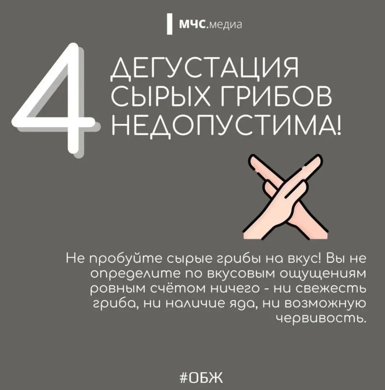 В Волгоградской области стоит тёплая осенняя погода, а значит, многие отправляются в лес на тихую охоту В Волгоградской области стоит тёплая осенняя погода, а значит, многие отправляются в лес на тихую охоту