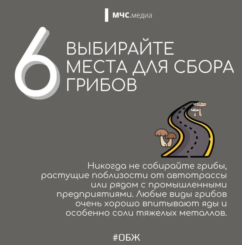 В Волгоградской области стоит тёплая осенняя погода, а значит, многие отправляются в лес на тихую охоту В Волгоградской области стоит тёплая осенняя погода, а значит, многие отправляются в лес на тихую охоту