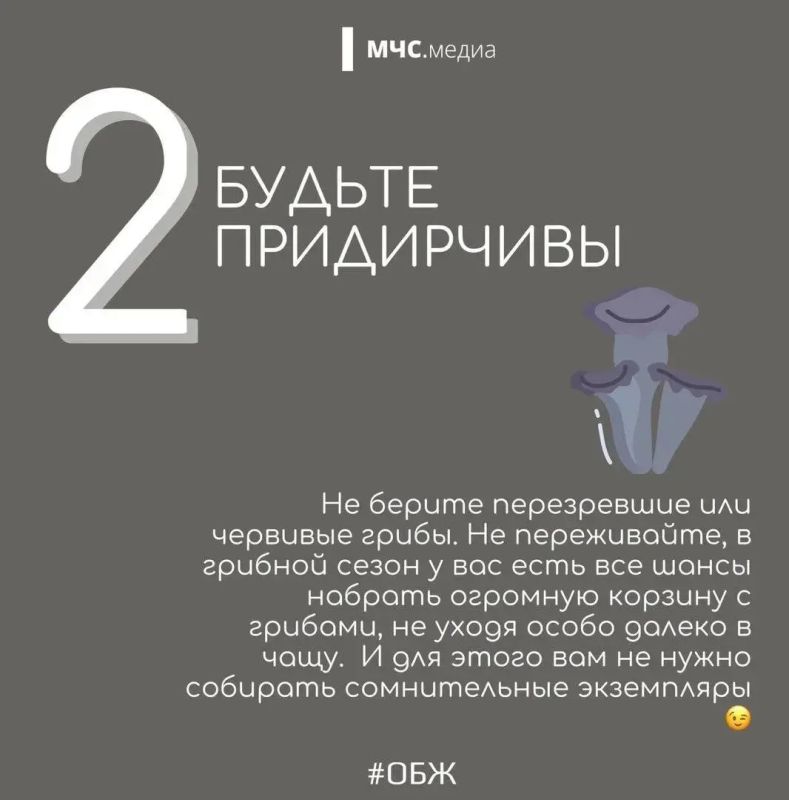 В Волгоградской области стоит тёплая осенняя погода, а значит, многие отправляются в лес на тихую охоту В Волгоградской области стоит тёплая осенняя погода, а значит, многие отправляются в лес на тихую охоту