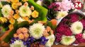 Волгоградцы в среднем потратят 3000 рублей на подарки ко Дню учителя от класса