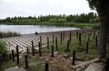 В городском парке культуры и отдыха имени М.М. Смехова в муниципальном округе город Михайловка активно благоустраивается зона отдыха у пруда