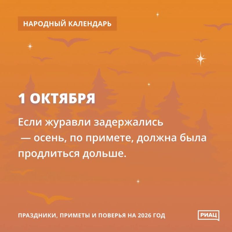 Сегодня всё внимание на журавлей Сегодня всё внимание на журавлей
