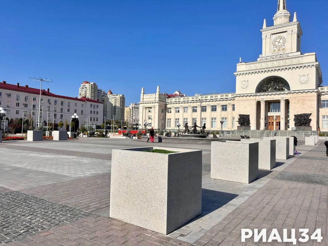 Пальмы с Привокзальной площади Волгограда отправились на зимовку