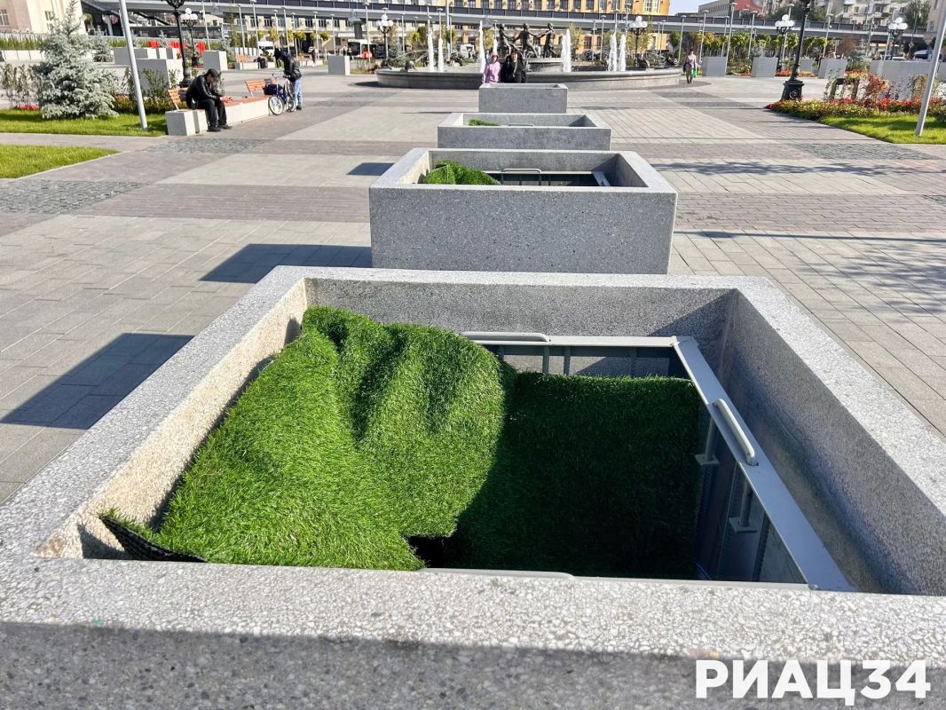 Пальмы с Привокзальной площади Волгограда отправились на зимовку Пальмы с Привокзальной площади Волгограда отправились на зимовку