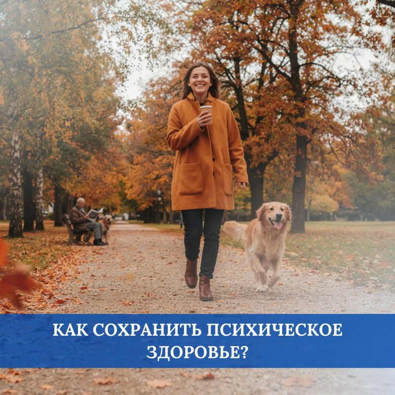 Важность психического здоровья трудно переоценить, ведь организм в целом находится под контролем нервной системы