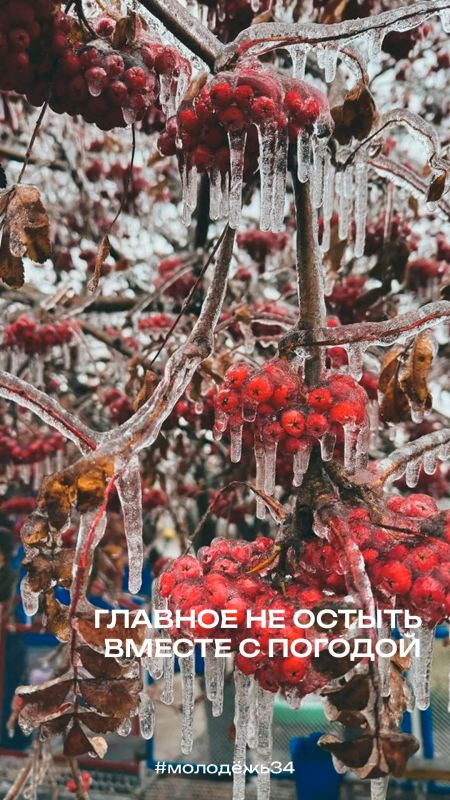 * хотелось бы погрустить, но пока нет такой возможности * * хотелось бы погрустить, но пока нет такой возможности *