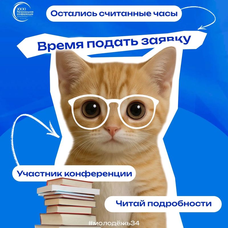 Он тебе МЯУ И ты подаешь заявку