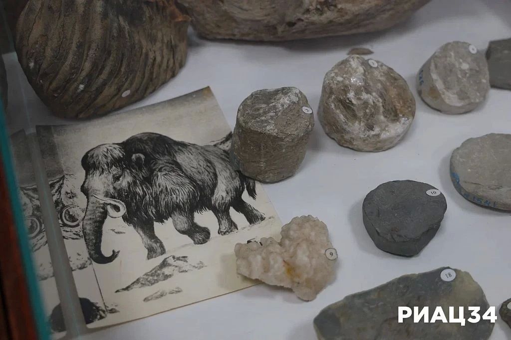 Где в Волгоградской области найти автограф сценария режиссёра киношедевра «Приходите завтра» и артефакты 8-й воздушной армии? Где в Волгоградской области найти автограф сценария режиссёра киношедевра «Приходите завтра» и артефакты 8-й воздушной армии?