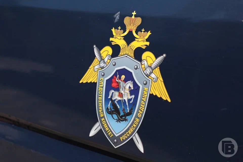 Волгоградец убил своего знакомого в ходе пьяной ссоры, нанеся ему два удара ножом в область груди и шеи, сообщает СУ СК по региону