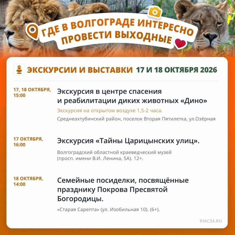 В предстоящие выходные в Волгограде можно познакомиться со львами, сыграть в «тыквенный боулинг» и услышать Моцарта