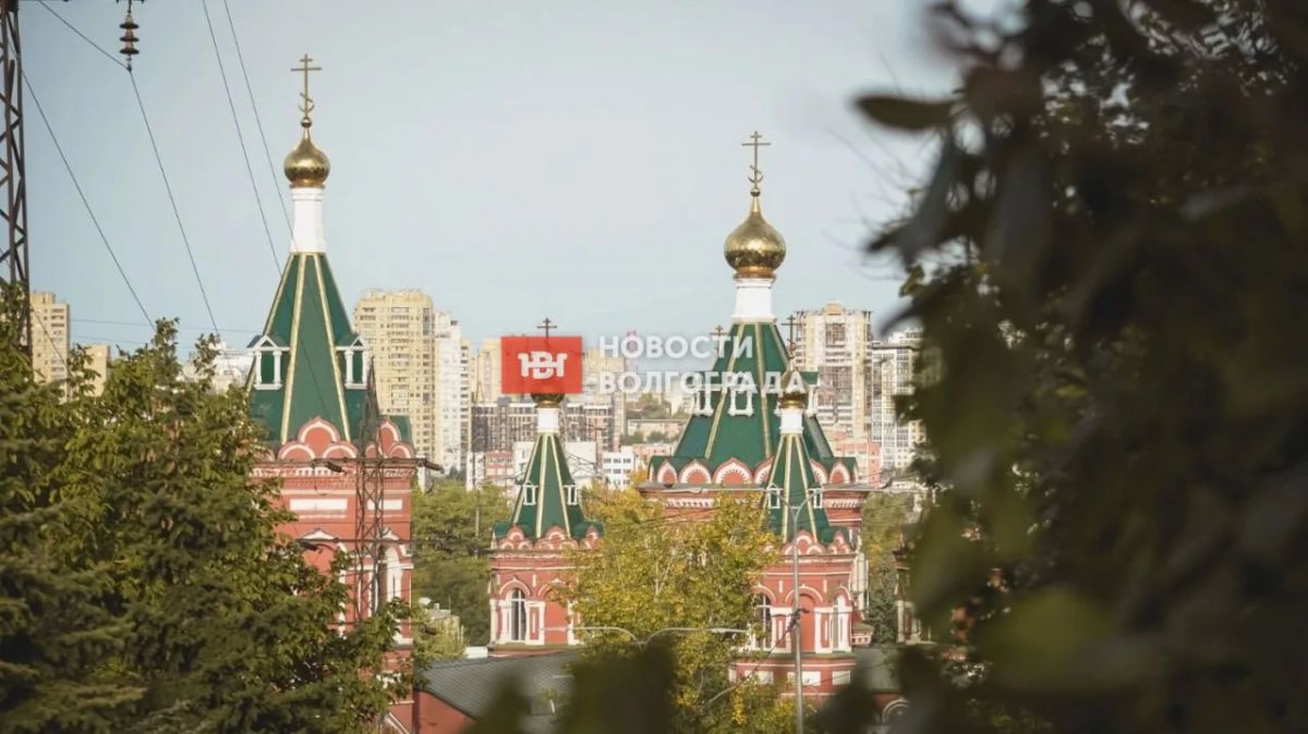 Аномальный октябрь в Волгограде: погода радует, каштаны зацвели повторно, а тутовник дал второй урожай Аномальный октябрь в Волгограде: погода радует, каштаны зацвели повторно, а тутовник дал второй урожай