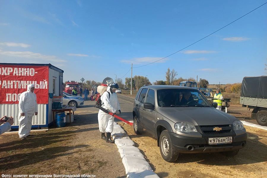 Уловный очаг сибирской язвы ликвидировали в Волгоградской области