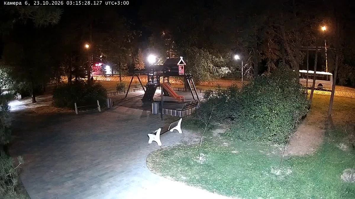 В Волжском воровка качелей вернулась на место кражи
