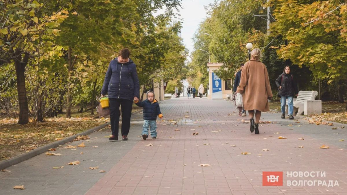 Заморозки до -5 градусов ударят в Волгоградской области