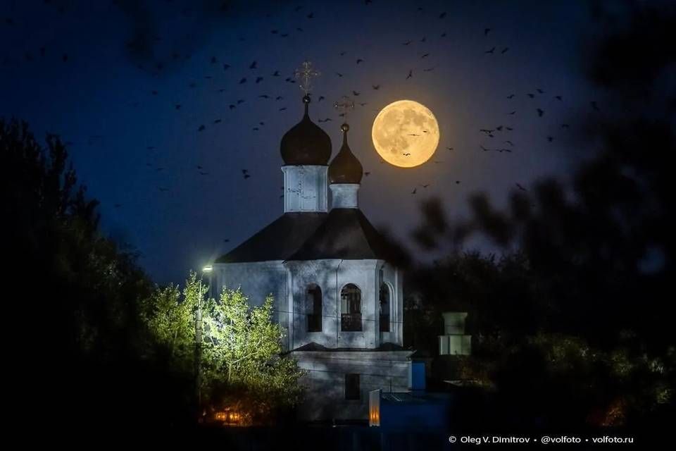 Огромную луну, озаряющую Землю почти так же хорошо, как искусственное освещение, уже несколько ночей наблюдают волгоградцы