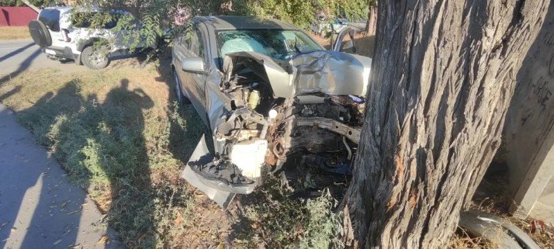 Волгоградец на иномарке взял тараном дерево