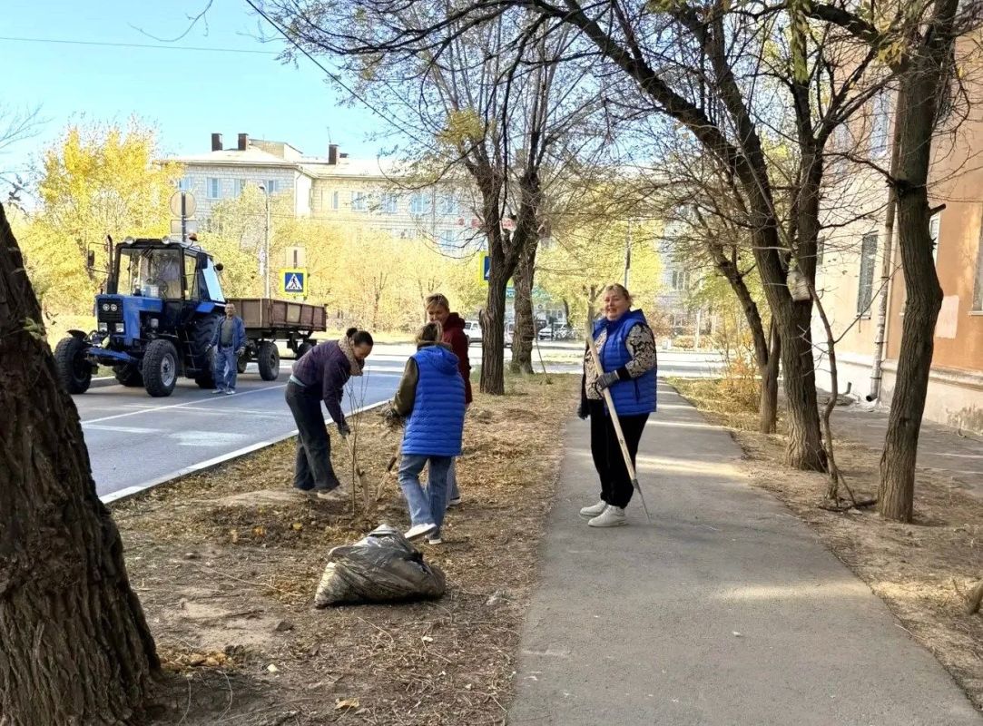 В Волжском стартовал осенний месячник по благоустройству В Волжском стартовал осенний месячник по благоустройству