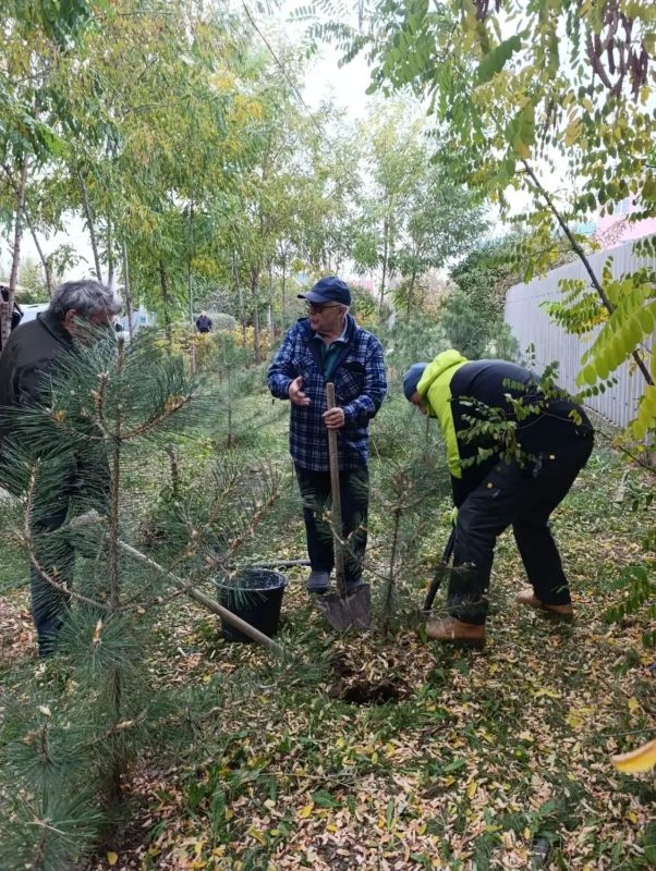 Субботник на 12 округе. На округе 12/1 волжане убрали территорию сквера на ул. Молодогвардейцев — мешки с мусором и ветками вывезли на двух тракторах Субботник на 12 округе. На округе 12/1 волжане убрали территорию сквера на ул. Молодогвардейцев — мешки с мусором и ветками вывезли на двух тракторах